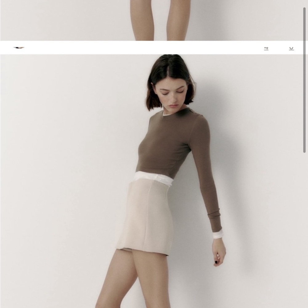 Zara Tan Skort